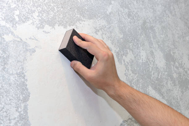 Best Industrial Mold Remediation  in Warrenton, GA