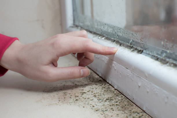 Best Mold Prevention Services  in Warrenton, GA