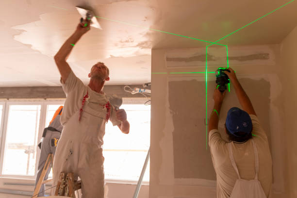 Best Attic Mold Removal  in Warrenton, GA