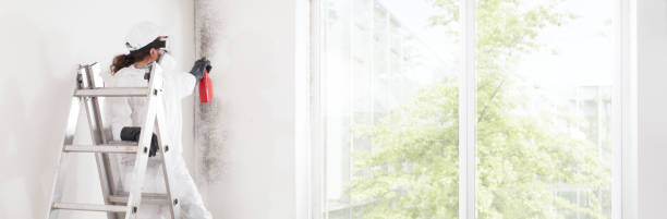 Best Mold Documentation for Insurance Claims  in Warrenton, GA