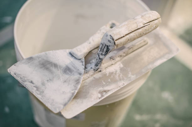 Best Commercial Mold Inspection  in Warrenton, GA